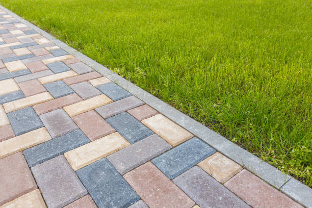 Best Driveway Paving Contractor  in Travelers Rest, SC